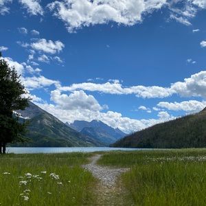 Meet your Posher, Kim